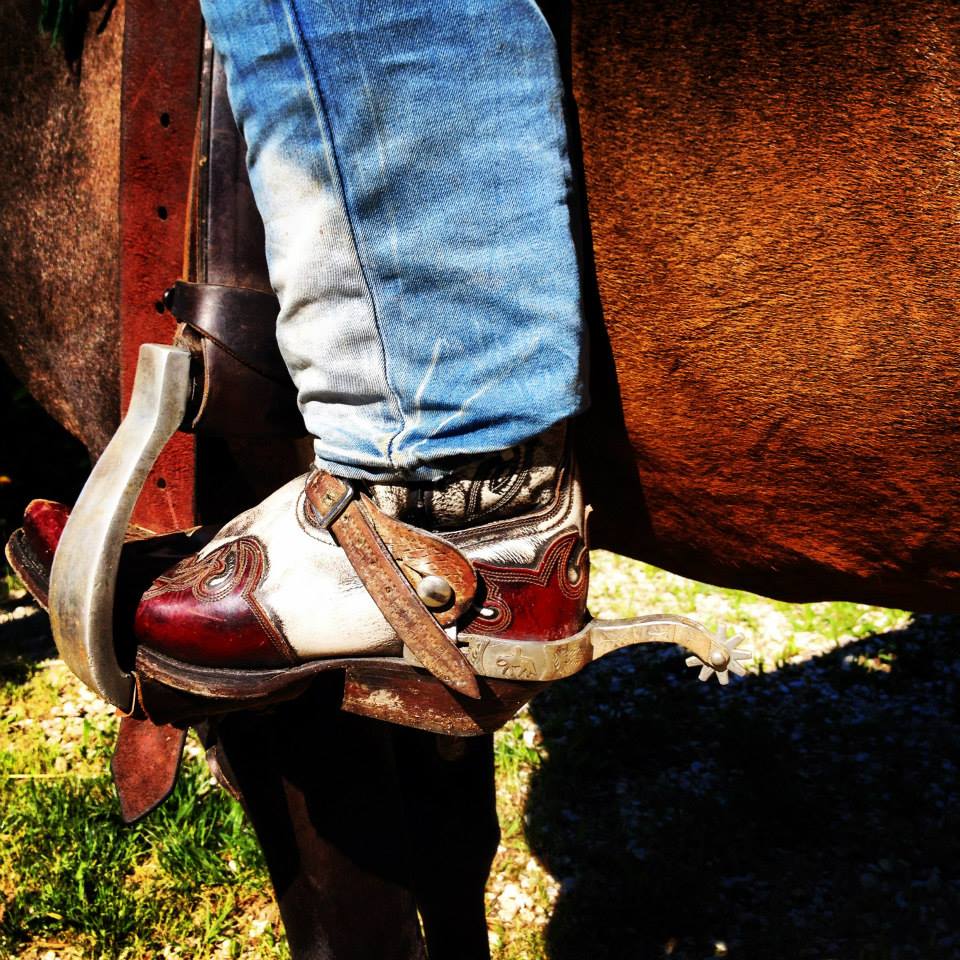 morso46_homepage_cavalli_passeggiate-a-cavallo-lago-di-garda
